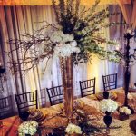 11325411575_64113e362c_z